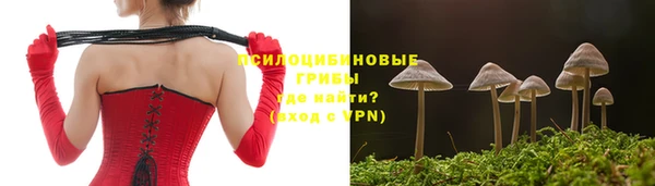 мяу мяу кристалл Лихославль